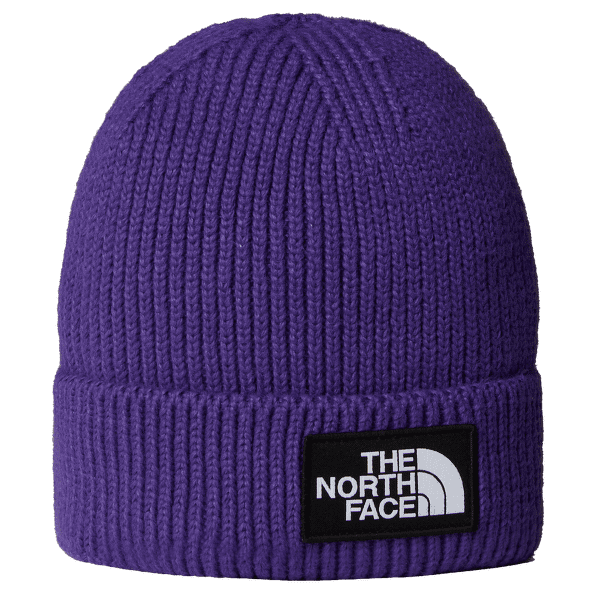 Casquettes The North Face TNF LOGO BOX CUFFED BEANIE PEAK PURPLE