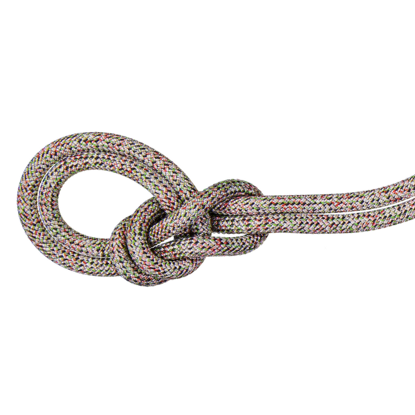 Corde Mammut 9.5 Crag We Care Classic Rope assorted 9000