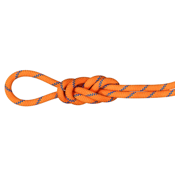 Corde Mammut 9.0 Alpine Sender Dry Rope Sunrise-ice