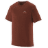 Capilene® Cool Merino Graphic Shirt Men Driftways: Dried Vanilla