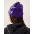 Casquettes Arcteryx Bird Word Toque 24K Black