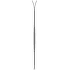 Ski Zag Skis UBAC 89 Lady BLUE