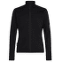 Merino Blend 300 RealFleece™ Descender LS Zip Men BLACK
