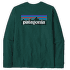 T-shirt a manches longues Patagonia Long-Sleeved P-6 Logo Responsibili-Tee Men Cascade Green