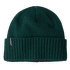 Brodeo Beanie Cascade Green