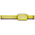 Lampe frontale Black Diamond Cosmo 250 Citrus