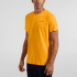 T-shirt a manches courtes La Sportiva BACK LOGO T-SHIRT Men Everglade