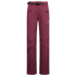 ALPINE GUIDE GTX PERFORMANCE PANTS WOMEN Redwood_R25R25
