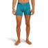 Caleçons Icebreaker Anatomica Boxer Men ATLANTIS