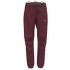ALPINE GUIDE GTX PERFORMANCE PANTS WOMEN Redwood_R25R25