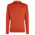 Merino 260 Quantum IV LS Zip Hoodie Men AGATE