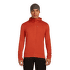 Sweat-shirt Icebreaker Merino 260 Quantum IV LS Zip Hoodie Men AGATE