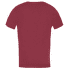 T-shirt a manches courtes Direct Alpine FLASH 5.0 palisander (mountain)