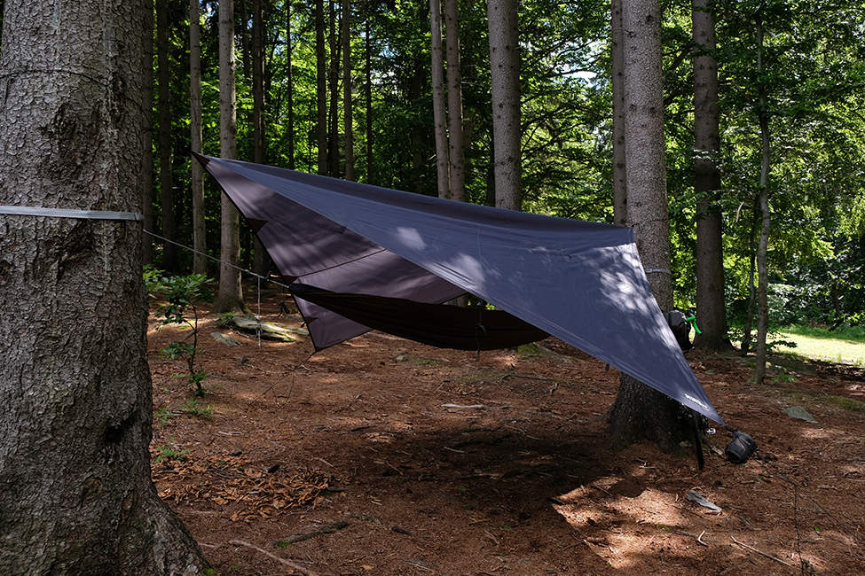 Tarp_09